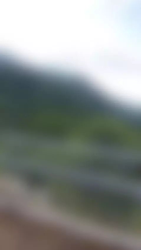 look daddy by sashasweetx