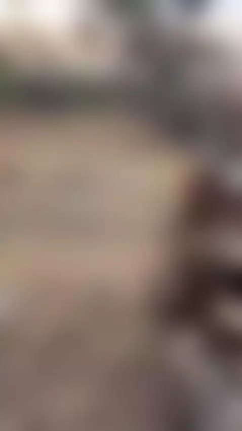 amateur blowjob by sashasweetx