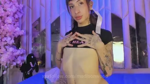 I want to set a sexy cat 🥵💦 by madisonwood