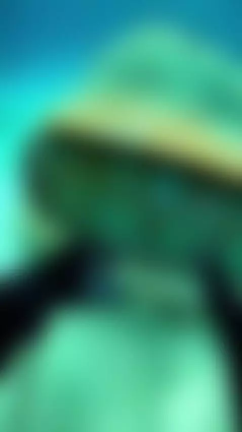 modelowebcam, hairypussy, milf by dreabusty