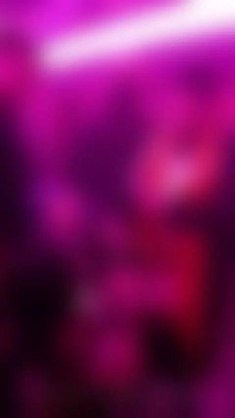 Santificada by jellyfishpink