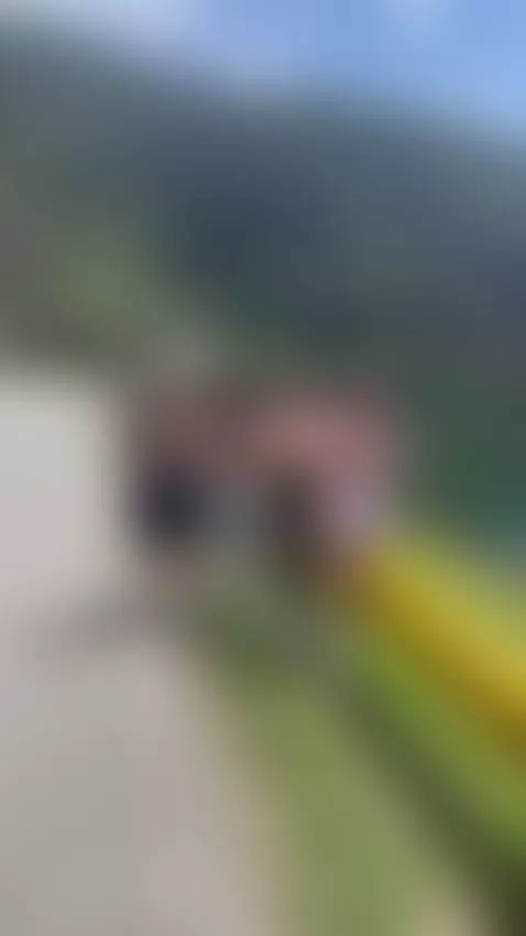 varadas en la carretera🙈nos llevas ? dale like si nos darias... by kathalinaq7777