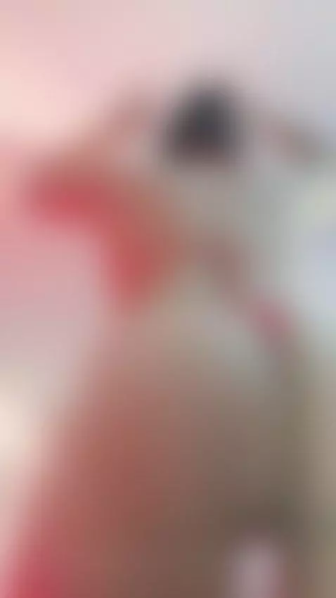 Your like sexy dance?🍓😋😋 by emily-foxy