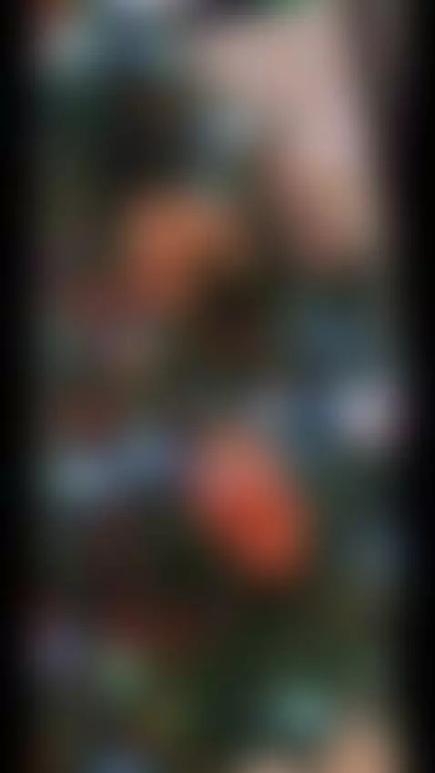 feliz navidad 🎄 by bondagegirl-ks