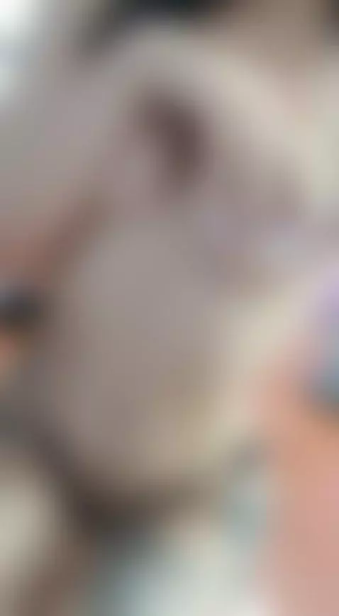 My little tattooed by thebosscamilo