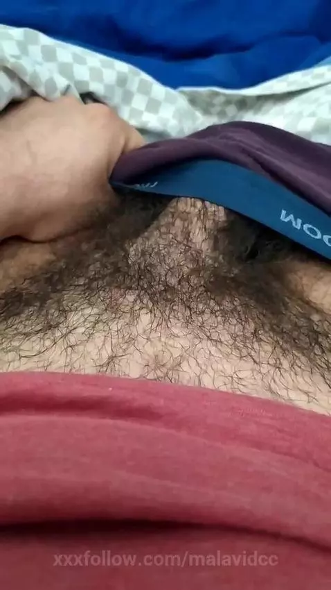 cock, showing, erection by malavidcc