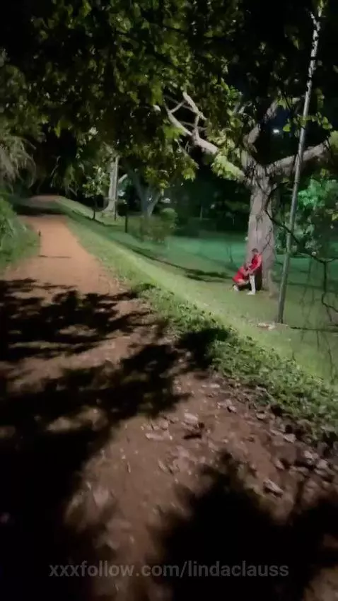 Noche en el parque 🌳🌕 by lindaclauss