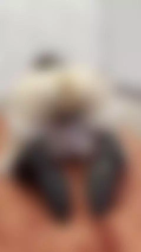 Follow me by tissymay