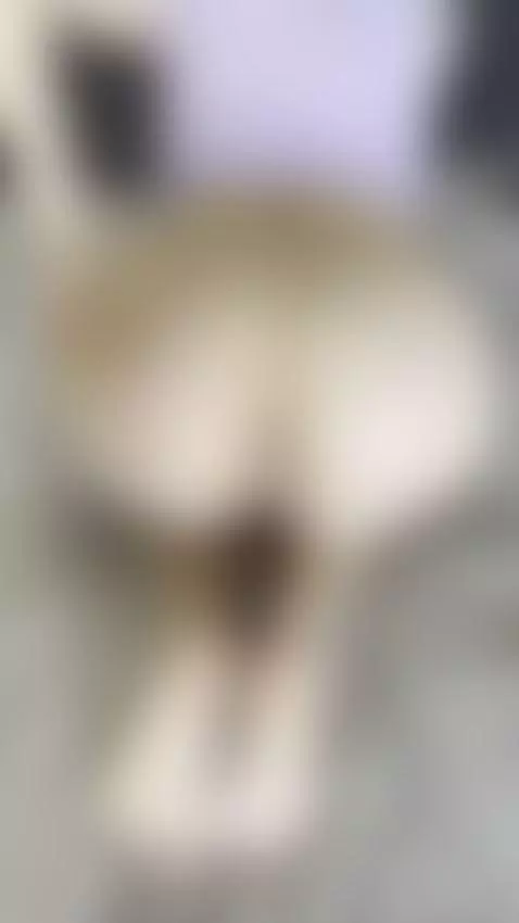 Follow me by tissymay