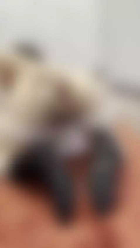 Follow me by tissymay