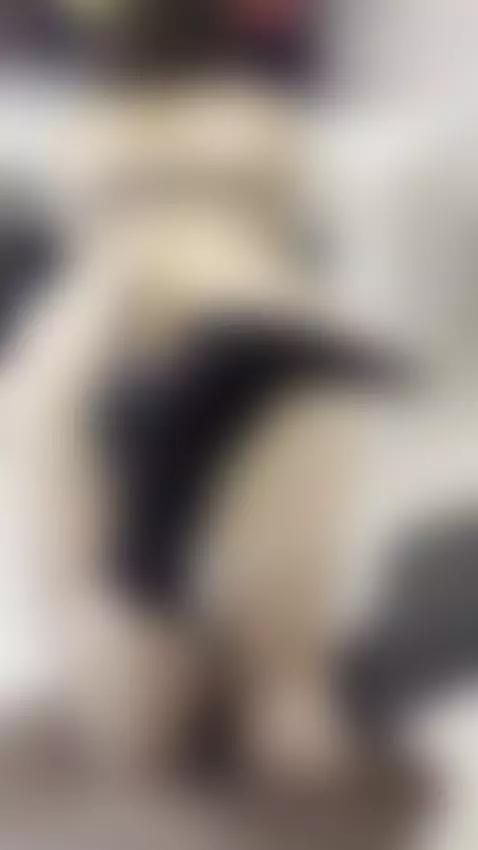 Follow me by tissymay