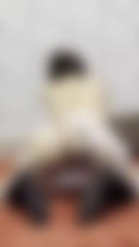 Follow me by tissymay