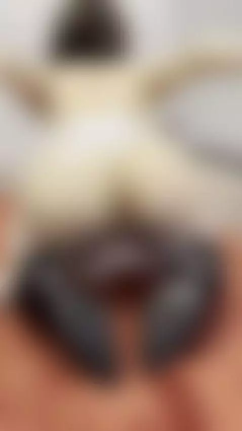 Follow me by tissymay