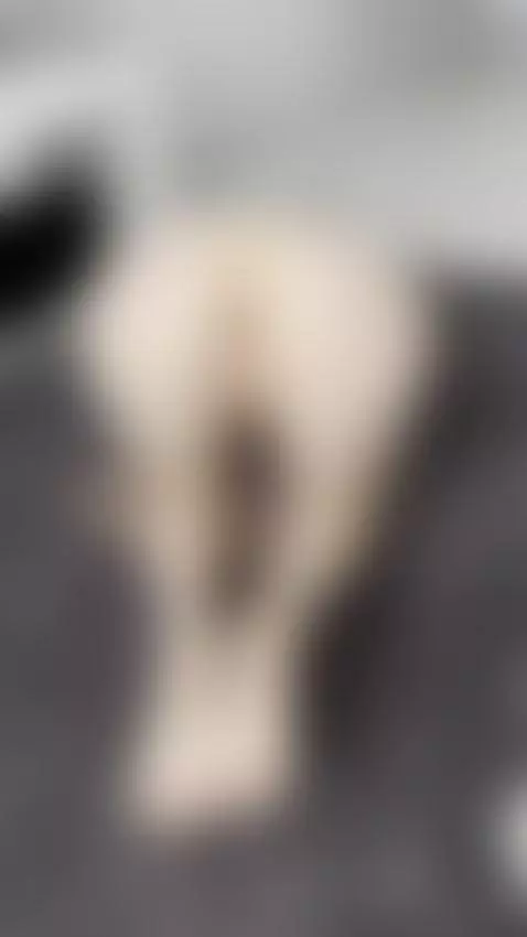 Follow me by tissymay