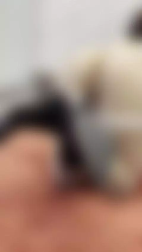 Follow me by tissymay