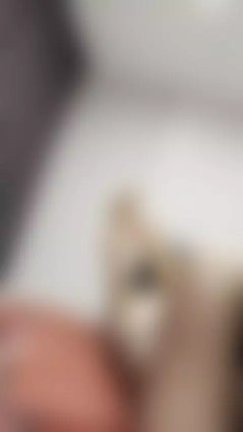 Follow me by tissymay