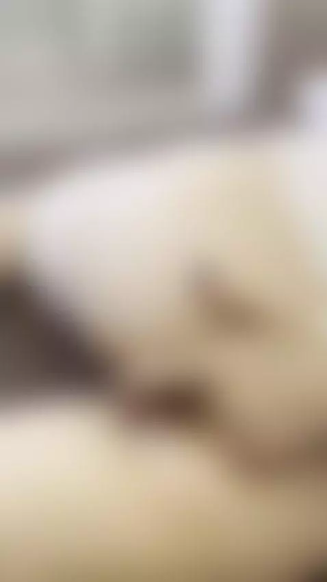 Follow me by tissymay