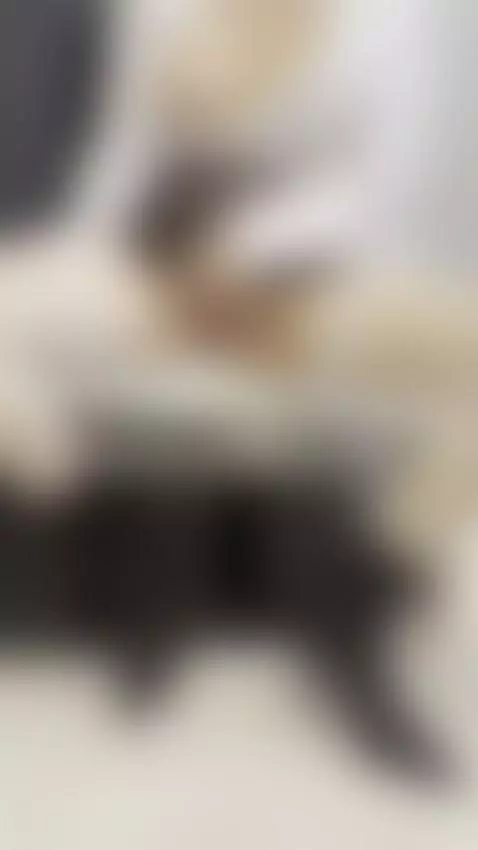 Follow me by tissymay