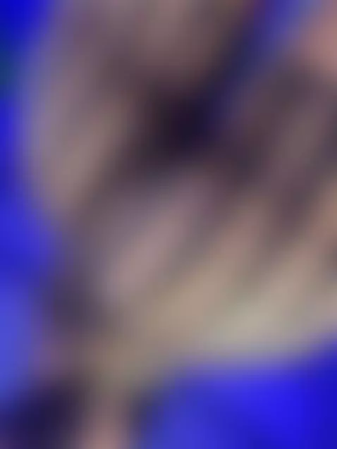 I would love to bounce my ass, but on your cock by xiaphoenix