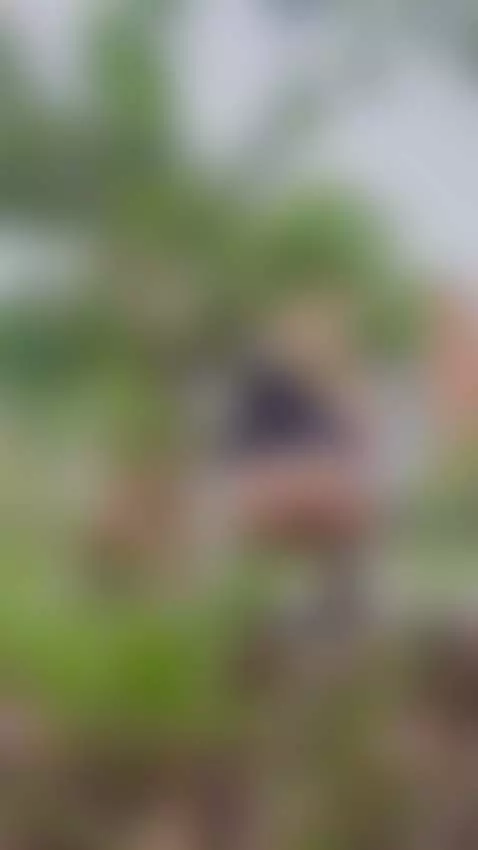 Oops!!! My pants fell out by helenacostelo