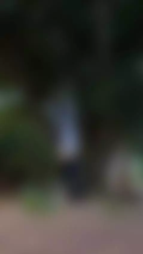 Your favorite neighbor by helenacostelo