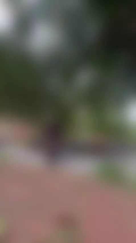 quieres ver mas ? Do you want to see more? by helenacostelo