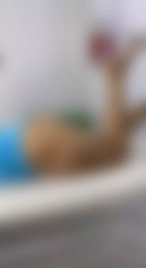 🧡🧡🧡 by miis-flora