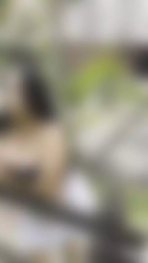 Look how I'm waiting for you 😉😉 by miis-flora