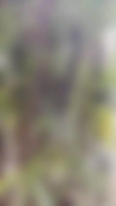 😜😁 by miis-flora