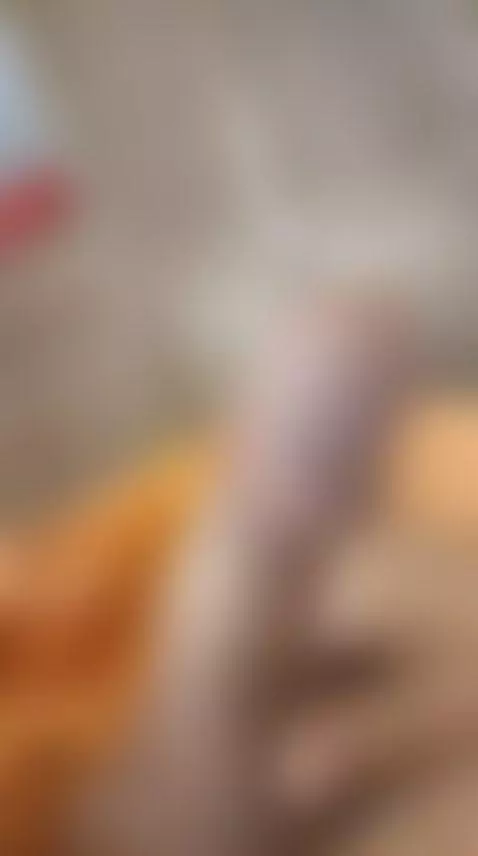 Good morning beautyfull creatures!!! by edworld95