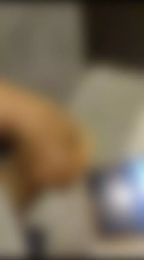 Esta es la manera correcta de responder a una fototeta!! by edworld95