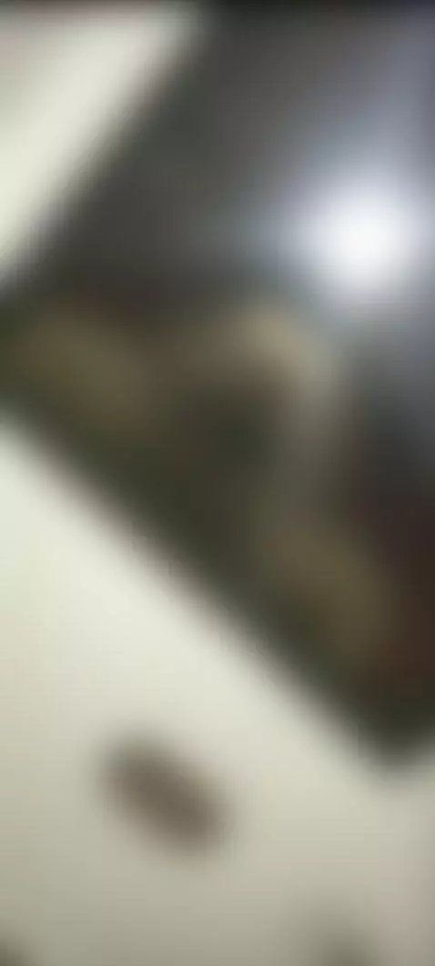 cabalgandoverga, milf, colombiana by agudelo01