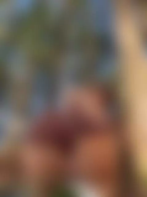 The sun got me hot… and I turned up the heat 😘
What would yo... by maddy-brooks