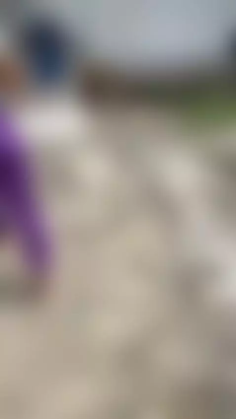 good morning guys by mia-greg