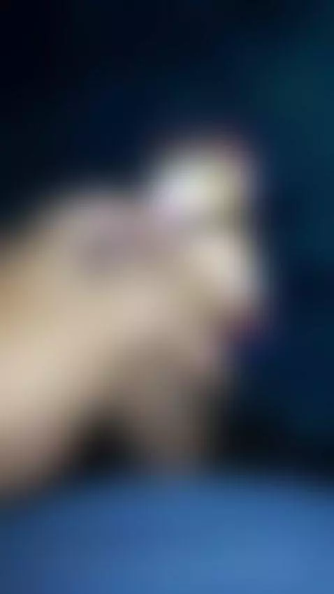 cumtribute a la esposa de un seguidor by sexy-alexander