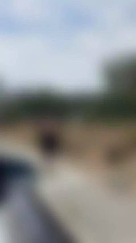 Que harias si me vieras en carretera? mmm🥵 by sarablack4