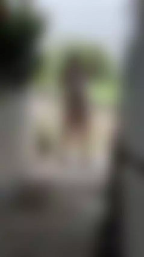 encontre a un fan espiandome que crees que paso despues ? by sarablack4