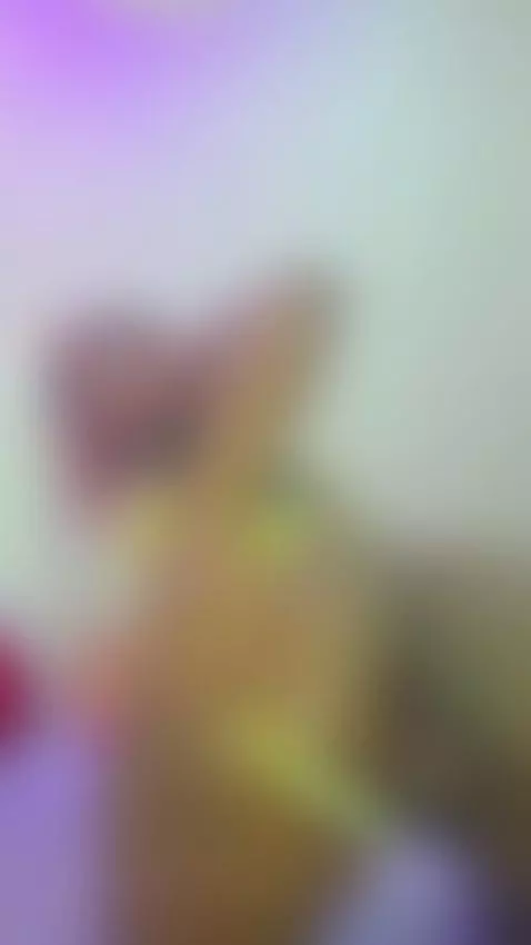 My pussy spreads just for you… come slip inside 💖💦 by britneyvega