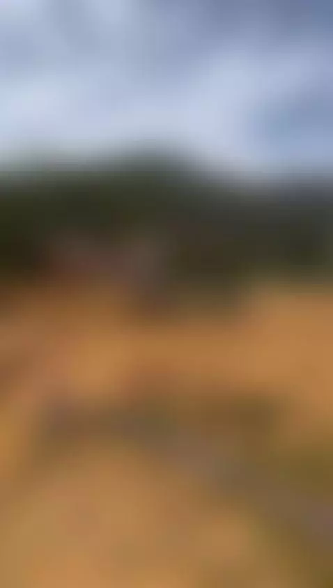 Video by alisonrossx