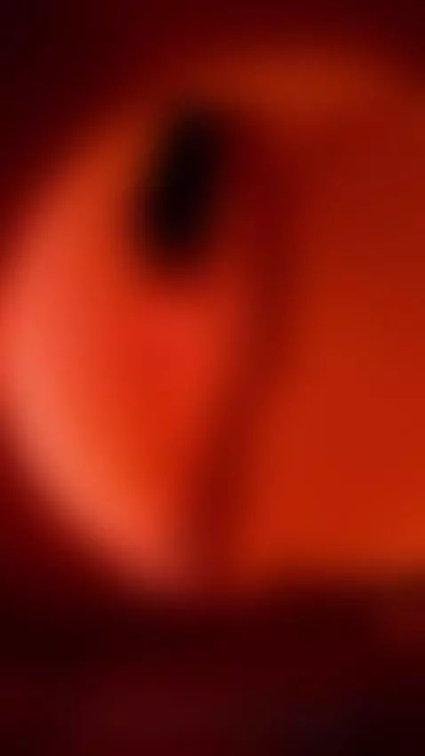 dancinghot, eroticdance, bodysmall by caossoac