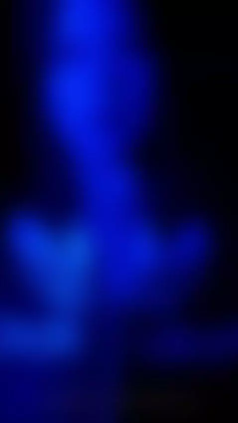 dance with my party neon by ariarusso