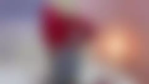 say meow by evangelinaray