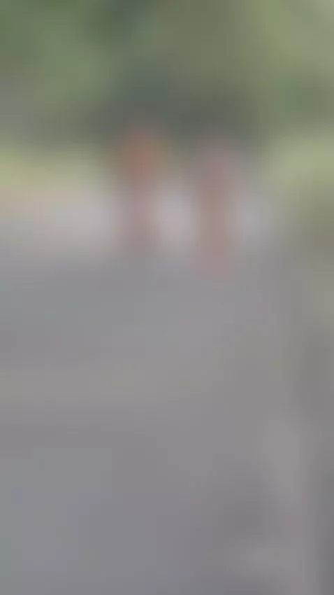 donde estan las gatas de cali by lascolombianasof