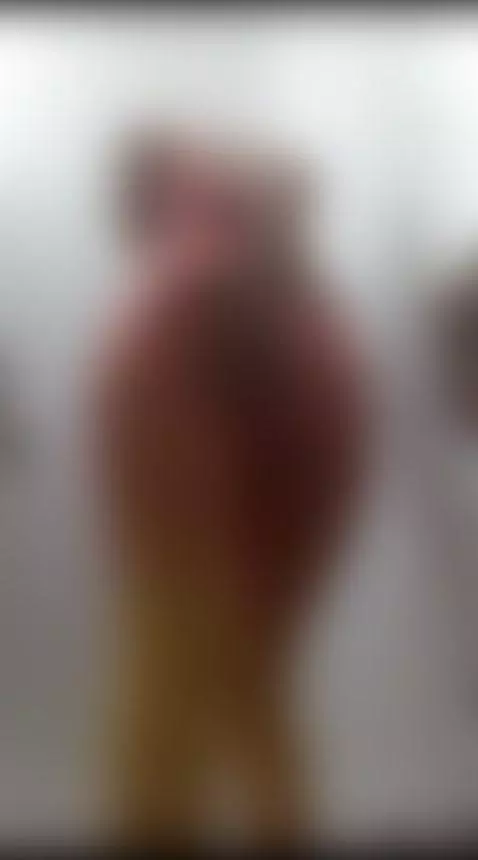 sexy dancing by maddy-cartter