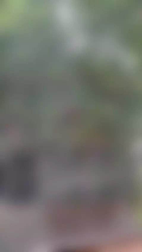 🔥😈 by devilsolfe