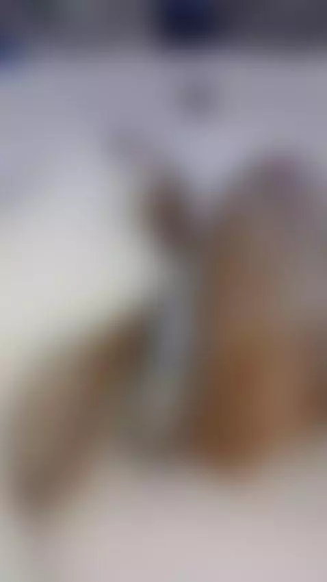 Open my legs and enter me by naomi-jones13