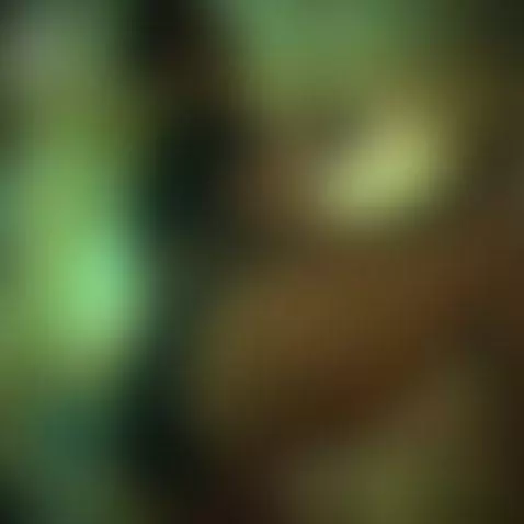 ❤️ this is you like ass by dakotamarr