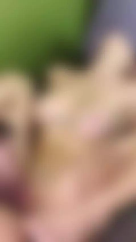 Sexy Hot Latinas Receive an Erotic Massage From Two Daring G... by brianevansx
