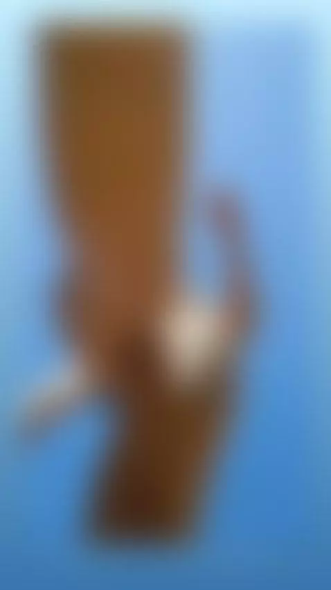 Maravillosa mañana, verdad? by silverjinx7