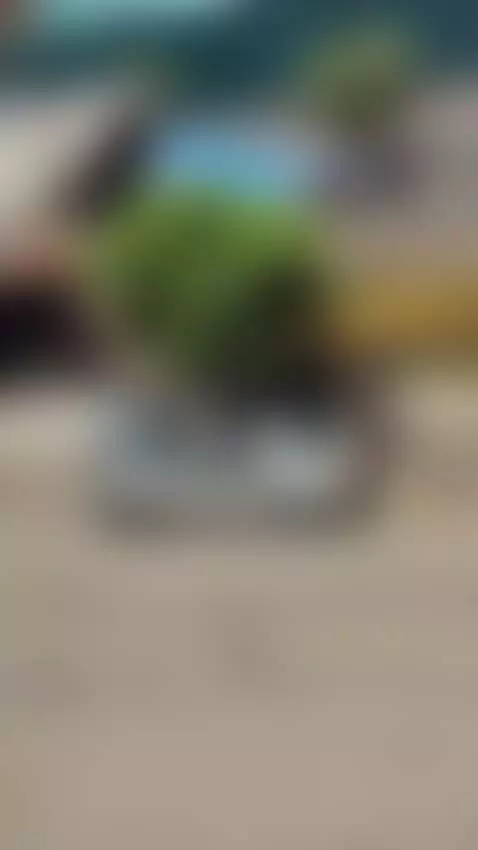 Me encanta que me vean 🤤🤤🤤 by lachicaspiderhub